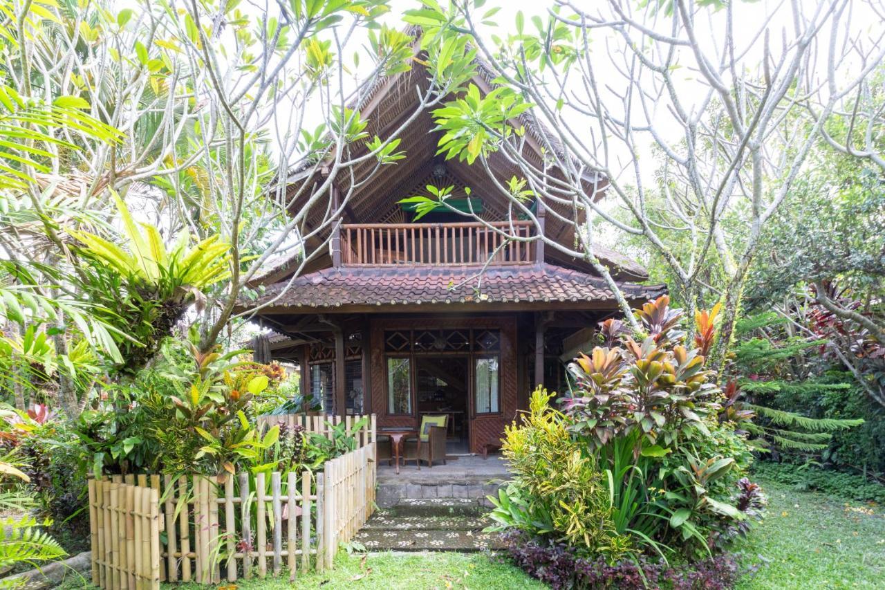 バリ ファイヤーフライ BnB ウブド エクステリア 写真