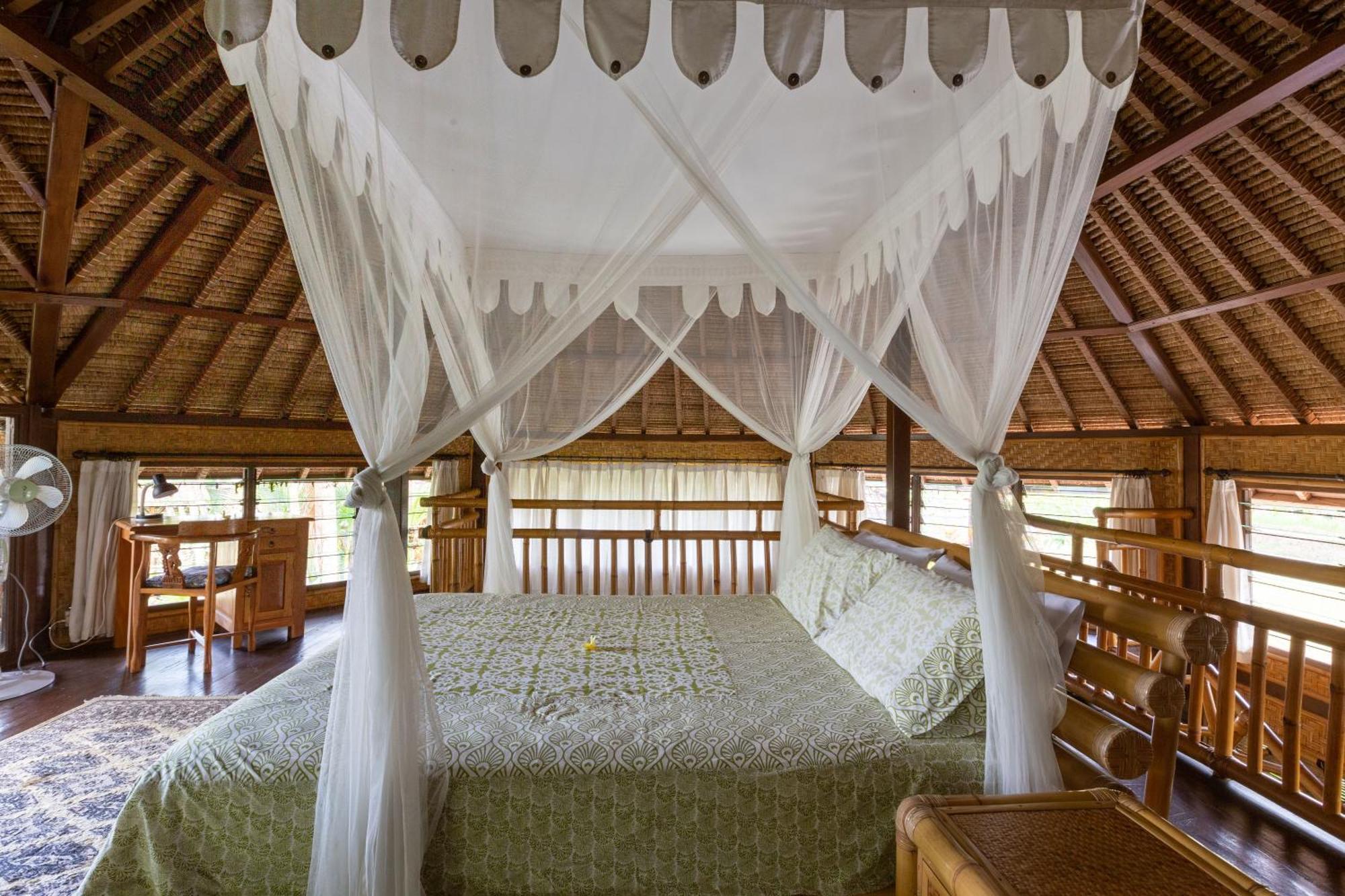 バリ ファイヤーフライ BnB ウブド 部屋 写真